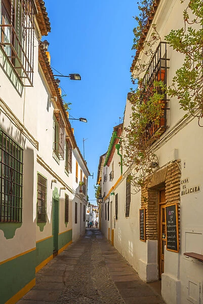 Alley at Cordoba, Andalusia; Spain