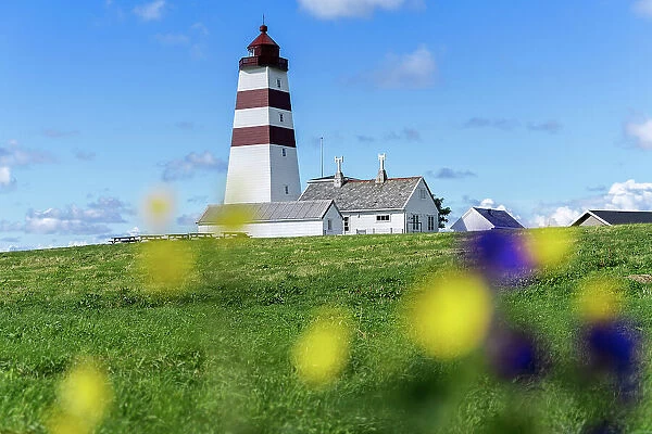 Alnes Lighthouse surrender by flowers, in between meadows and sea, Godoya Island, Alesund, More og Romsdal County, Norway