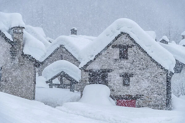 Alpe Devero covered with snow during heavy snowfall, Devero Valley, piedmont, Italy