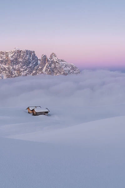 Alpe di Siusi  /  Seiser Alm, Dolomites, South Tyrol, Italy. Dawn on the plateau of Bullaccia  /  Puflatsch
