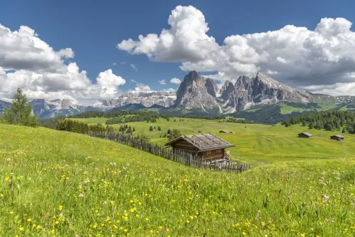 Framed Print : Alpe di Siusi / Seiser Alm, Dolomites, South Tyrol, Italy Framed Print : Alpe di Siusi / Seiser Alm, Dolomites, South Tyrol, Italy