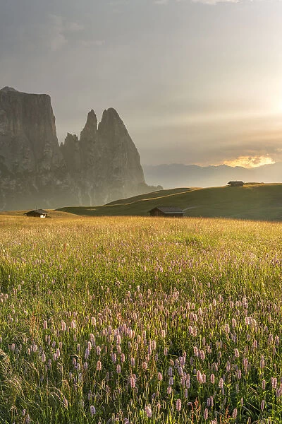 Alpe di Siusi  /  Seiser Alm, Dolomites, South Tyrol, Italy. Sunset after the thunderstorm
