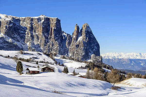 Alpe di Siusi  /  Seiser Alm, Dolomites, South Tyrol, Italy