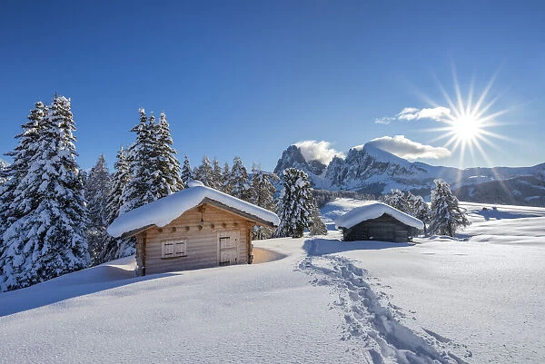 Alpe di Siusi  /  Seiser Alm, Dolomites, South Tyrol, Italy