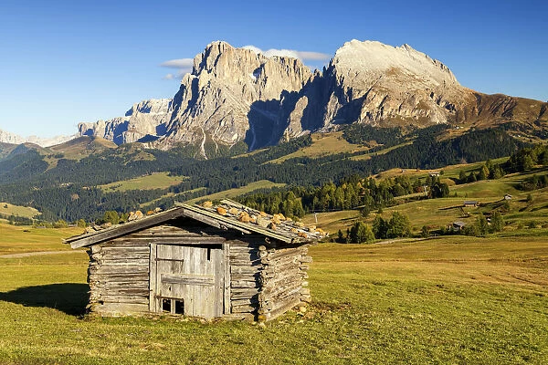 Alpe di Siusi with view of Sassolungo and Sassopiatto, Dolomites, Italy