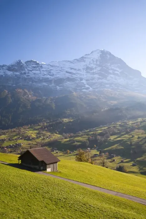 Framed Print : Alpine Meadow, Eiger & Grindelwald, Berner Oberland, Switzerland