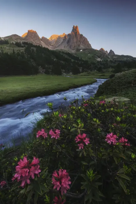 Framed Print : Alpine meadows during a summer sunrise, Val Claree, Southern France Framed Print : Alpine meadows during a summer sunrise, Val Claree, Southern France