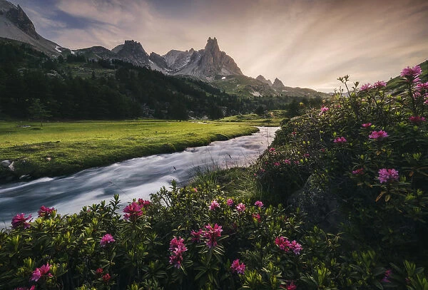 Alpine meadows during a summer sunset, Val Claree, Southern France