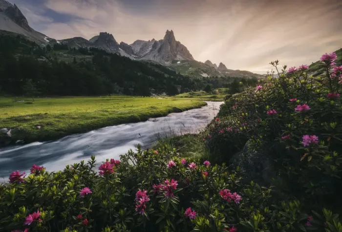 Framed Print : Alpine meadows during a summer sunset, Val Claree, Southern France Framed Print : Alpine meadows during a summer sunset, Val Claree, Southern France