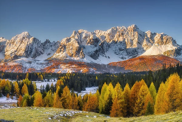 Alpine pasture Nemes against Sextner Dolomites, Dolomites, South Tyrol, Alto Adige