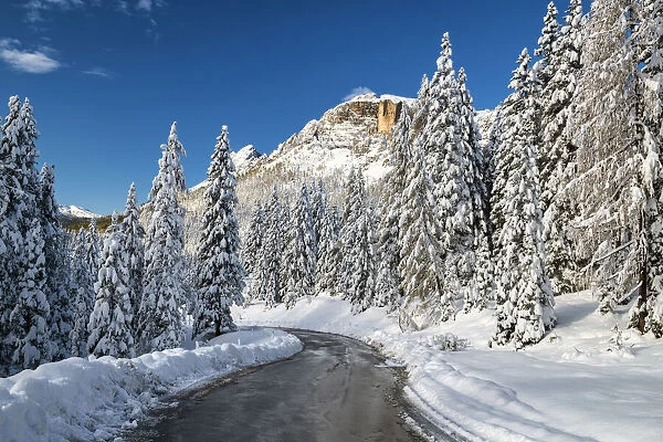 Alpine Road in Fresh Snowfall, Belluno Province, Veneto, Dolomites, Italy