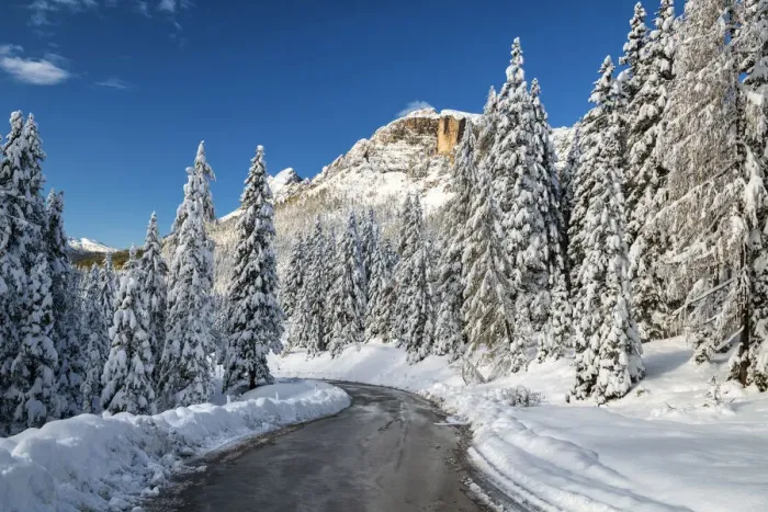 Framed Print : Alpine Road in Fresh Snowfall, Belluno Province, Veneto, Dolomites, Italy Framed Print : Alpine Road in Fresh Snowfall, Belluno Province, Veneto, Dolomites, Italy