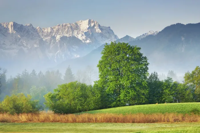 Framed Print : Alpine upland in fog with Wetterstein Mountains - Germany, Bavaria, Upper Bavaria Framed Print : Alpine upland in fog with Wetterstein Mountains - Germany, Bavaria, Upper Bavaria