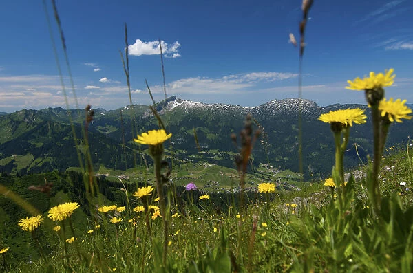The Alps, Kleinwalstertal Valley, Vorarlberg, Austria