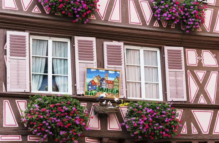 Framed Print : The Alsatian legends say that storks bring good luck aa hence many buildings are Framed Print : The Alsatian legends say that storks bring good luck aa hence many buildings are