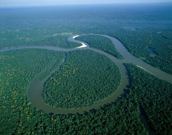 Amazon River  /  Amazon Jungle  /  Aerial View