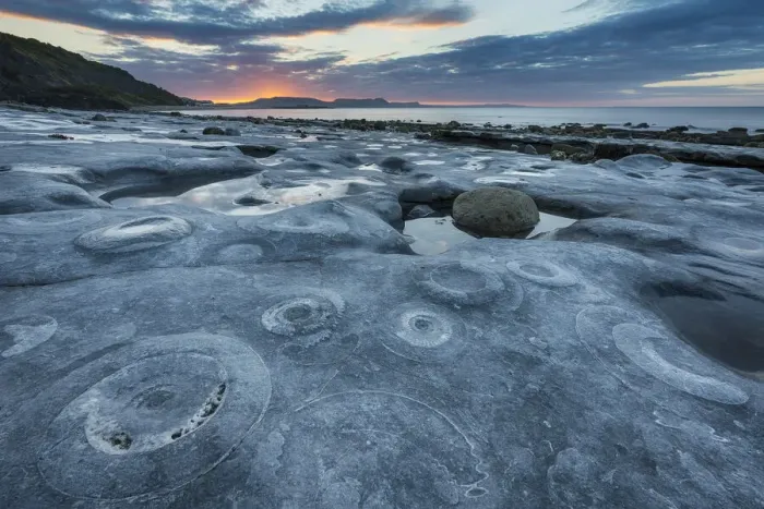 Framed Print : Ammonite Graveyard at sunrise, Monmouth Beach, Lyme Regis Framed Print : Ammonite Graveyard at sunrise, Monmouth Beach, Lyme Regis