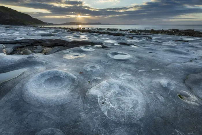 Framed Print : Ammonite Graveyard at sunrise, Monmouth Beach, Lyme Regis Framed Print : Ammonite Graveyard at sunrise, Monmouth Beach, Lyme Regis