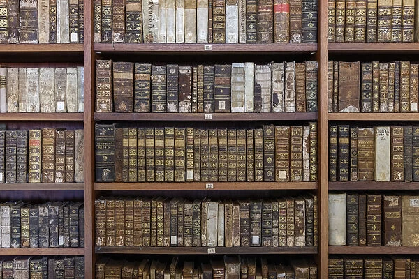 Ancient books in Biblioteca Joanina (Joanine Library), University of Coimbra, Coimbra