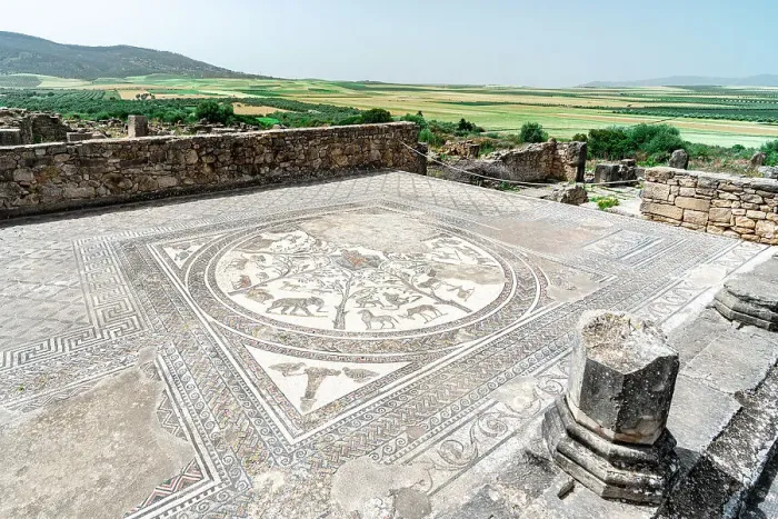 Framed Print : Ancient mosaic with african animals on floor of The House of Orpheus, Volubilis archeological site, Meknes, Morocco Framed Print : Ancient mosaic with african animals on floor of The House of Orpheus, Volubilis archeological site, Meknes, Morocco