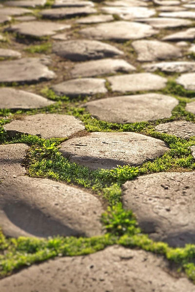 Detail of ancient roman pavement, Rome, Lazio, Europe