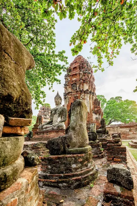 Framed Print : Ancient statue of Buddha framed by lush plants, Ayutthaya historical park, Thailand