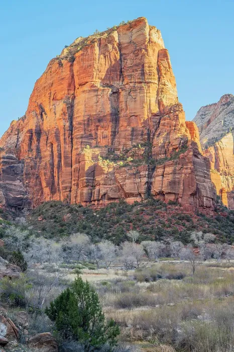 Framed Print : Angels landing in morning light, Zion National Park, Utah, USA Framed Print : Angels landing in morning light, Zion National Park, Utah, USA