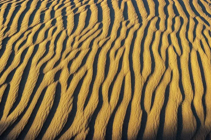 Framed Print : Animal tracks on Perry Sandhills, Wentworth, New South Wales, Australia Framed Print : Animal tracks on Perry Sandhills, Wentworth, New South Wales, Australia
