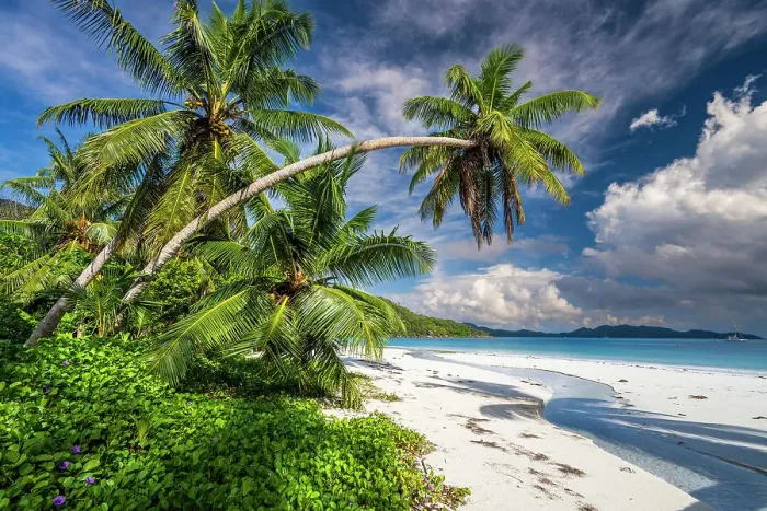Framed Print : Anse Volbert, Praslin, Seychelles Framed Print : Anse Volbert, Praslin, Seychelles