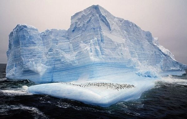 Antarctica, Scotia Sea