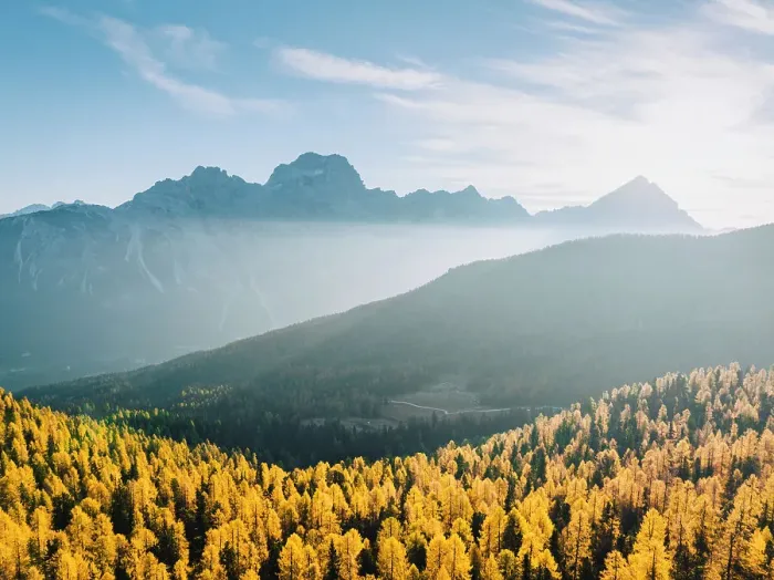 Framed Print : Antelao mountains with yellow larches on the foreground. Dolomites, Veneto, Italy Framed Print : Antelao mountains with yellow larches on the foreground. Dolomites, Veneto, Italy