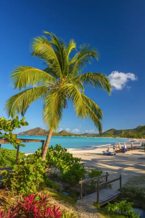 Framed Print : Antigua, Jolly Bay Beach Framed Print : Antigua, Jolly Bay Beach