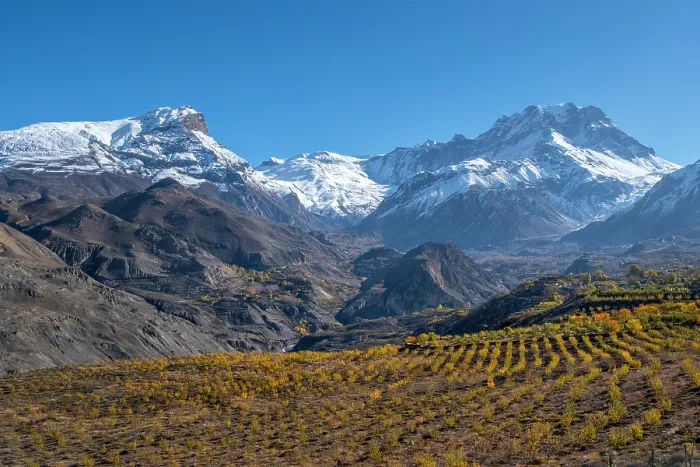 Framed Print : Apple orchard in the valley towards Muktinath, Lower Mustang, Nepal Framed Print : Apple orchard in the valley towards Muktinath, Lower Mustang, Nepal