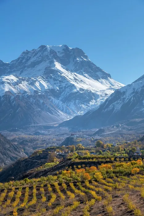 Framed Print : Apple orchard in the valley towards Muktinath, Lower Mustang, Nepal Framed Print : Apple orchard in the valley towards Muktinath, Lower Mustang, Nepal