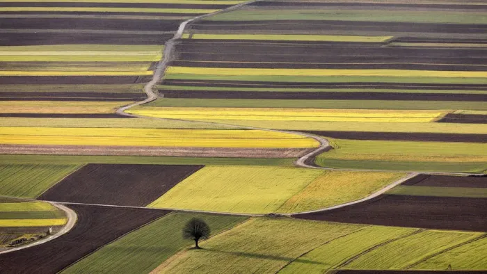Framed Print : Arable field patterns, Ljubljana Basin, Slovenia Framed Print : Arable field patterns, Ljubljana Basin, Slovenia