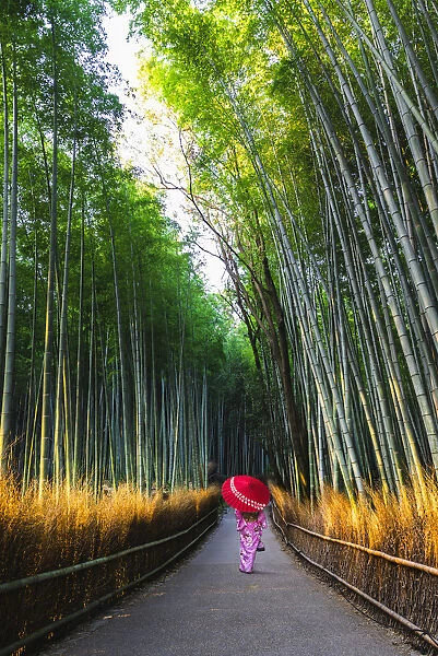 Arashiyama, Kyoto, Kyoto prefecture, Kansai region, Japan