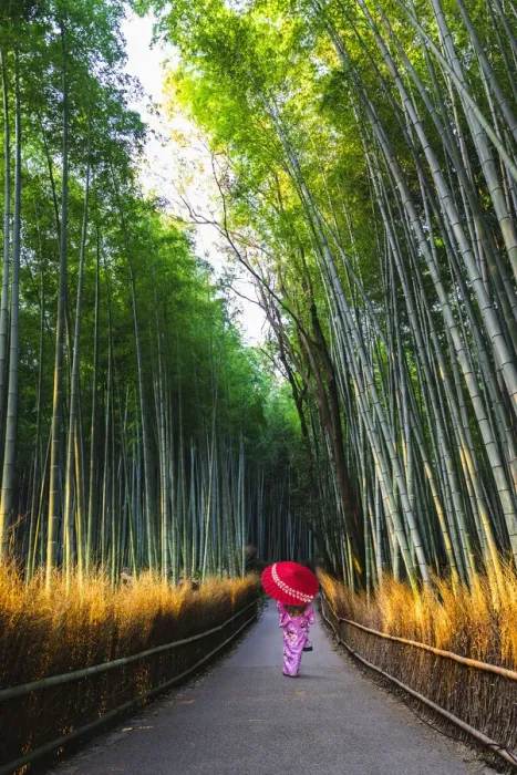 Framed Print : Arashiyama, Kyoto, Kyoto prefecture, Kansai region, Japan Framed Print : Arashiyama, Kyoto, Kyoto prefecture, Kansai region, Japan