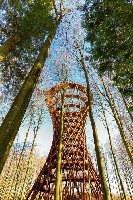Framed Print : Architectural view of the structure of the forest tower rising high in the wood, in the winter, Zealand, Denmark Framed Print : Architectural view of the structure of the forest tower rising high in the wood, in the winter, Zealand, Denmark