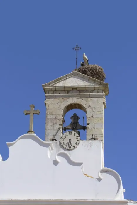 Framed Print : Arco da Vila with Storks Nest, Faro, Algarve Portugal Framed Print : Arco da Vila with Storks Nest, Faro, Algarve Portugal