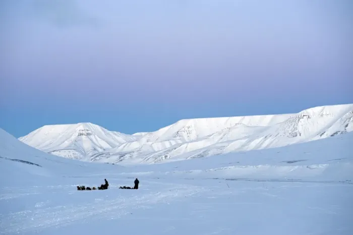 Framed Print : Arctic, Norway, Spitsbergen. Dog sledding near Longyearbyen Framed Print : Arctic, Norway, Spitsbergen. Dog sledding near Longyearbyen