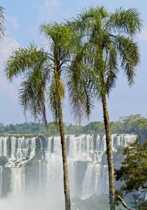 Framed Print : Argentina, Misiones, Puerto Iguazu, View of the Iguazu Falls Framed Print : Argentina, Misiones, Puerto Iguazu, View of the Iguazu Falls