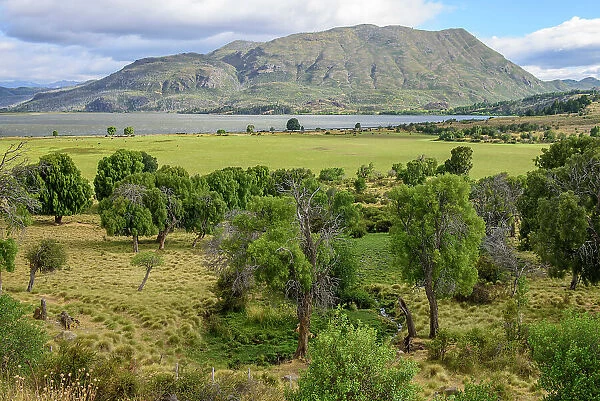 Argentina, Patagonia, Chubut, Esquel, Los Alerces, National Park