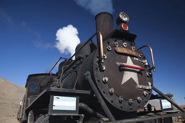Argentina, Patagonia, Chubut Province, Esquel area, La Trochita narrow guage steam train