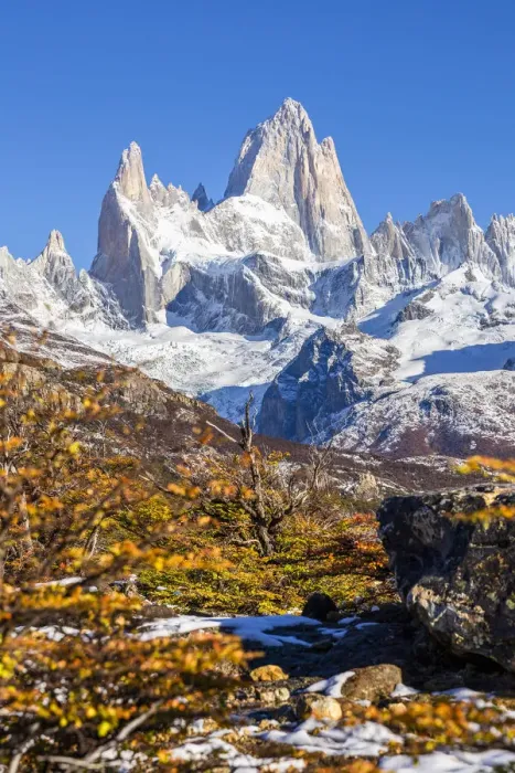Framed Print : Argentina, Patagonia, Santa Cruz Province, Los Glaciares National Park, trees with autumn Framed Print : Argentina, Patagonia, Santa Cruz Province, Los Glaciares National Park, trees with autumn