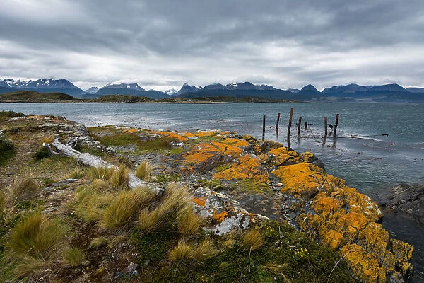 Argentina, Patagonia, Tierra del Fuego National Park, Ushuaia, Beagle Channel, Bridges