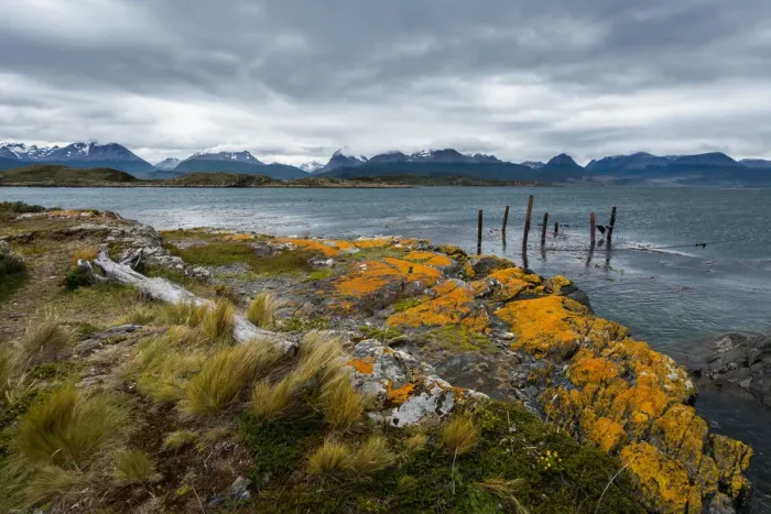 Framed Print : Argentina, Patagonia, Tierra del Fuego National Park, Ushuaia, Beagle Channel, Bridges