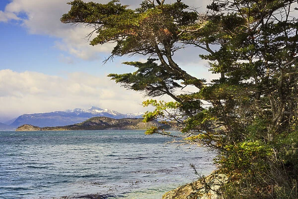 Argentina, Patagonia, Ushuaia. Tierra del Fuego, Tierra del Fuego National Park