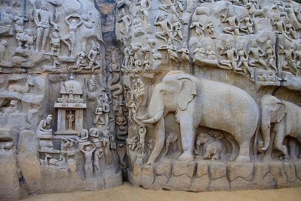 Arjunas Penance granite carvings, Mamallapuram (UNESCO World Heritage Site). Tamil Nadu