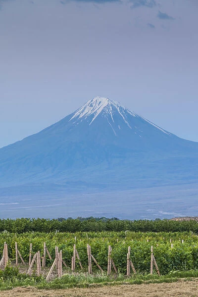 Armenia, Khor Virap, view of Little Mt. Ararat