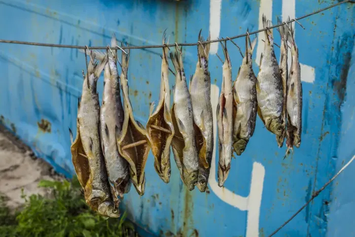 Framed Print : Armenia, Lake Sevan, Sevan, fish shacks selling smoked fish Framed Print : Armenia, Lake Sevan, Sevan, fish shacks selling smoked fish